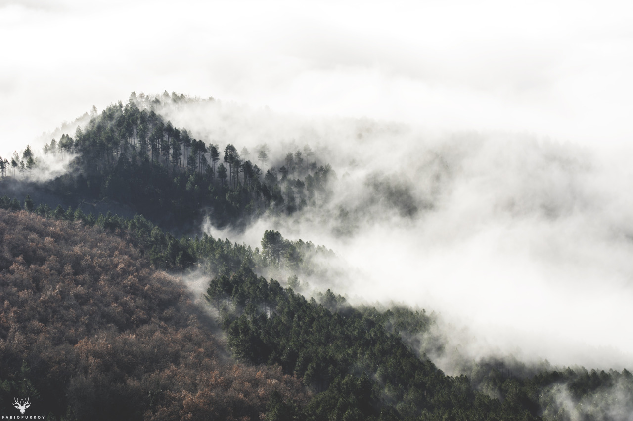 Foggy Telemark
Photo