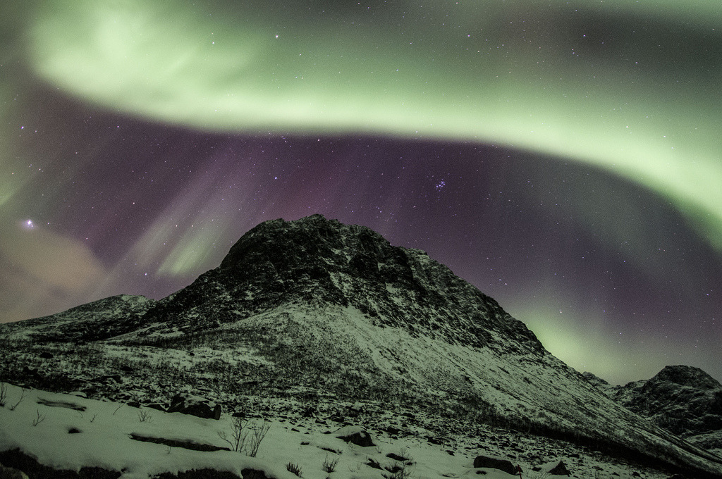 Northen Lights by Michela G