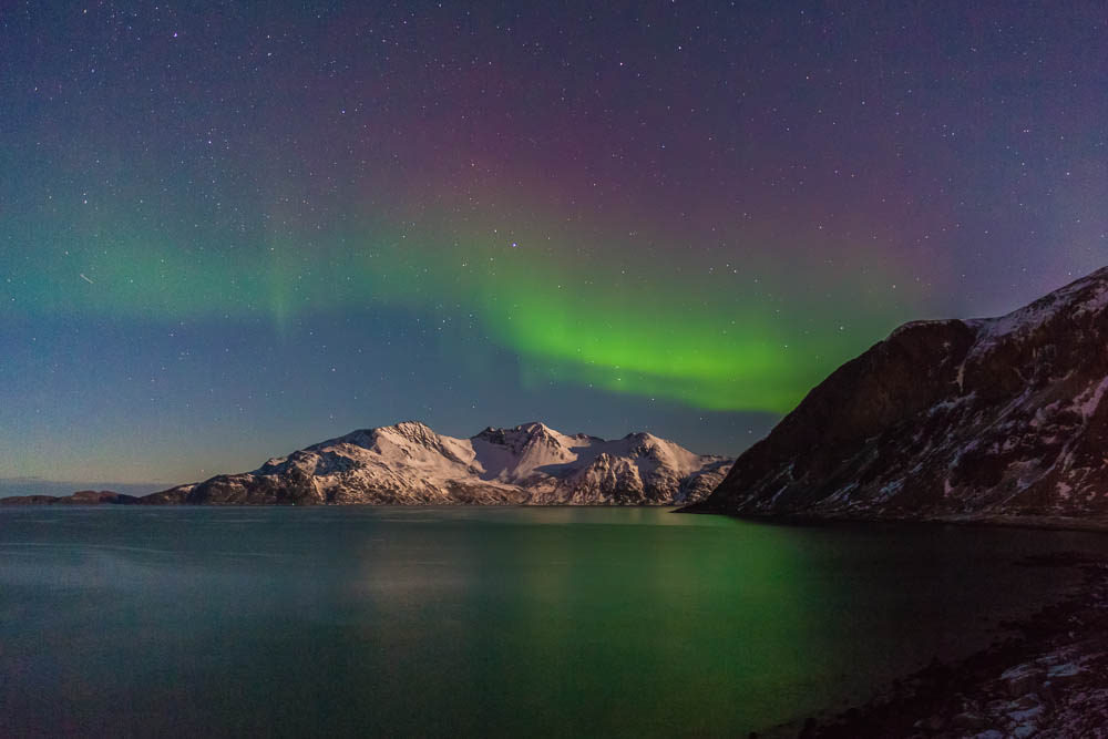 grotfjord (shooting star) b