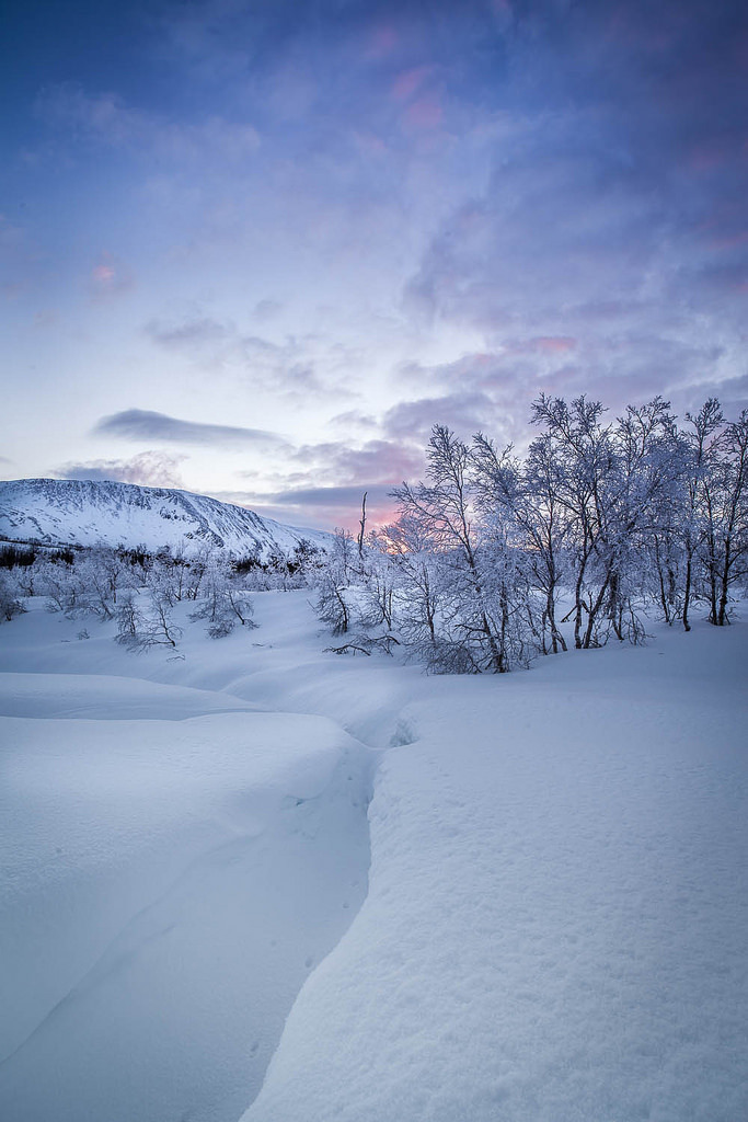 silence by pixellesley a fr