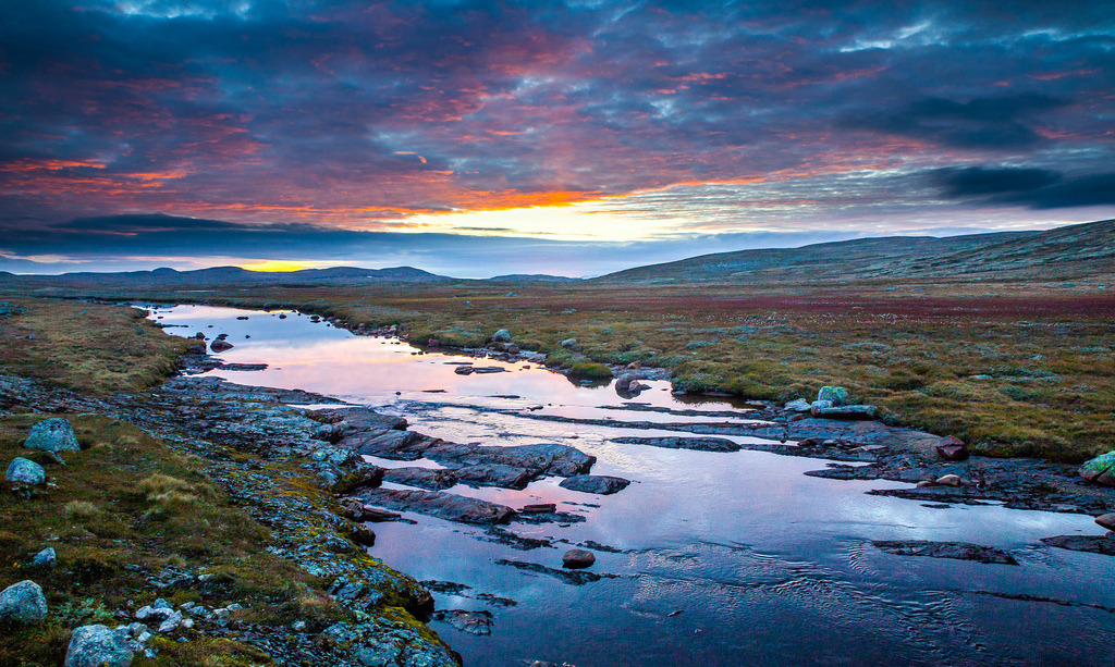 Hardangervidda, Hordaland,
