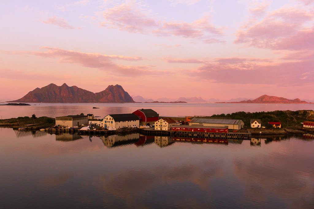 Pink Norway by Pietro Consi