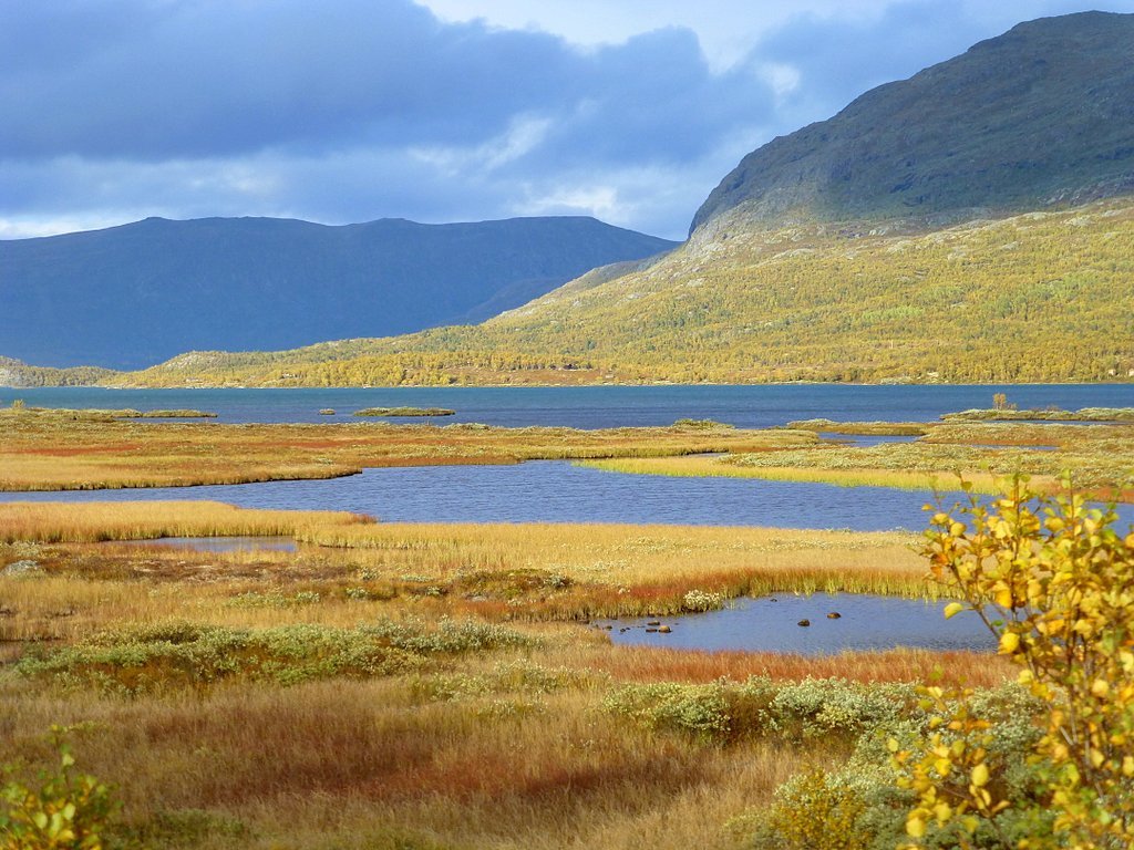 Autumn in Norway by Frans.S