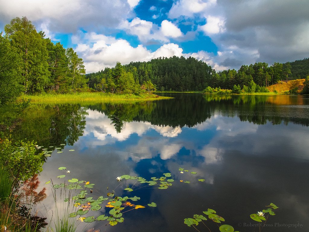 Southern Norway Summer Skie