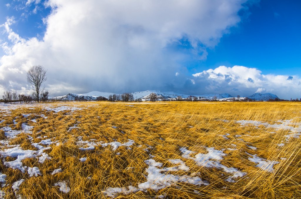 Andøy, Norway by Larsenio