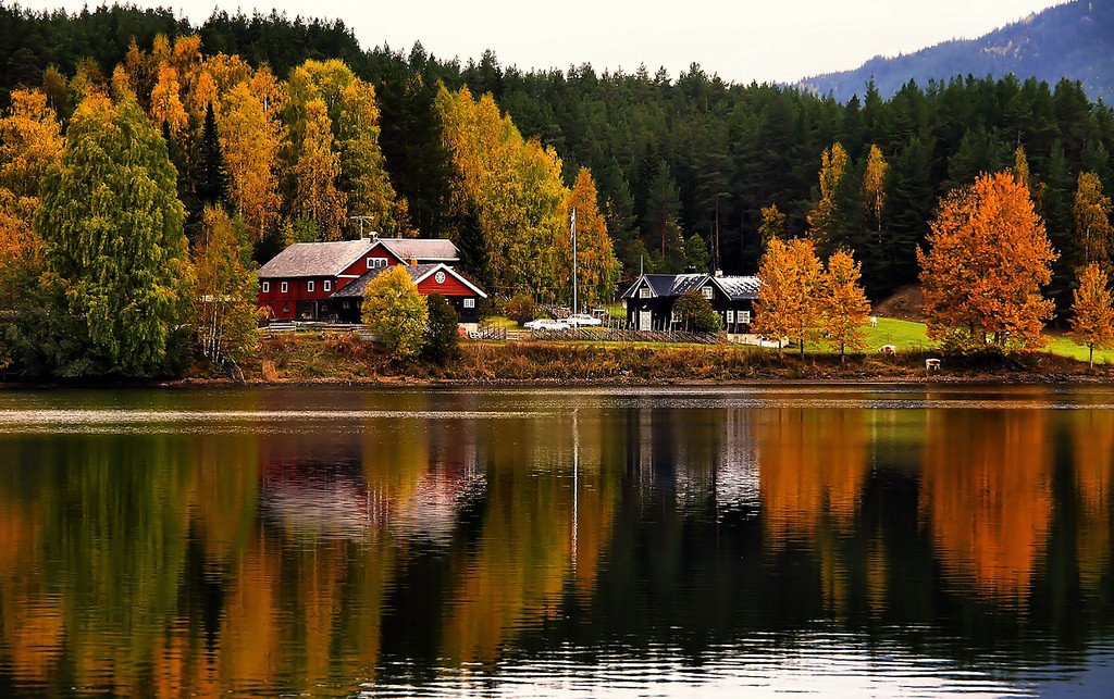 Valdres, Norway. Autumn by