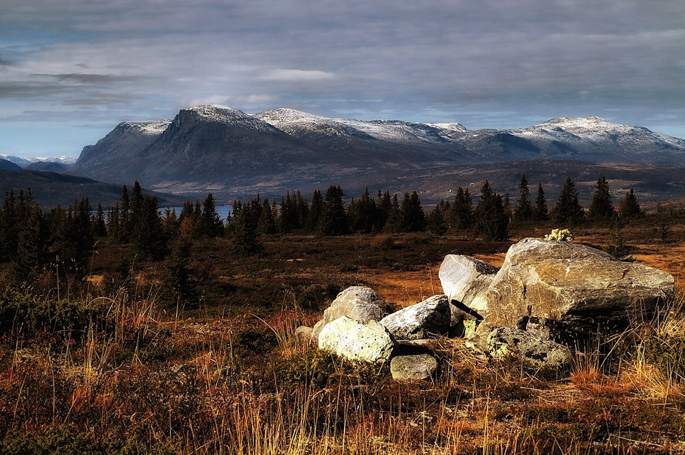 Autnum at Mont Skogshorn, N
