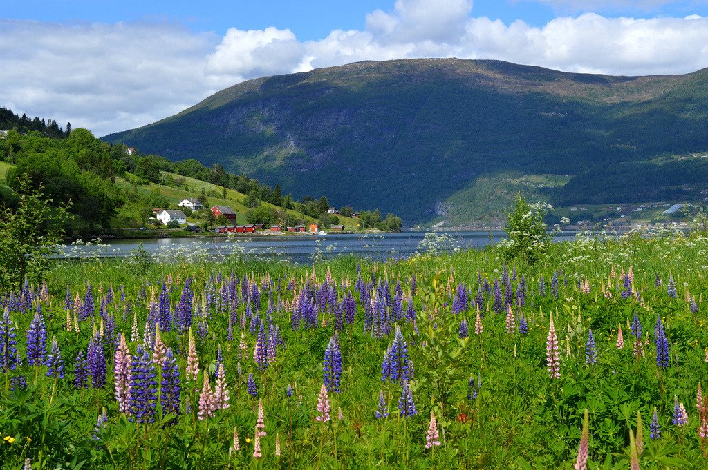 Olden, Nordfjord, Norway by