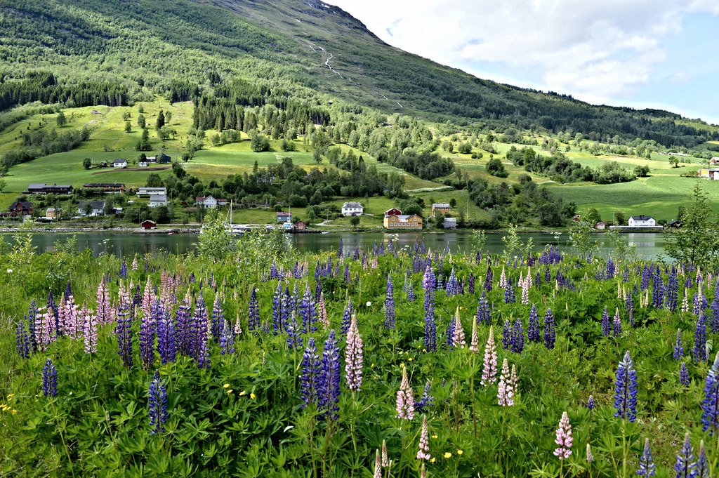 Olden, Nordfjord, Norway by