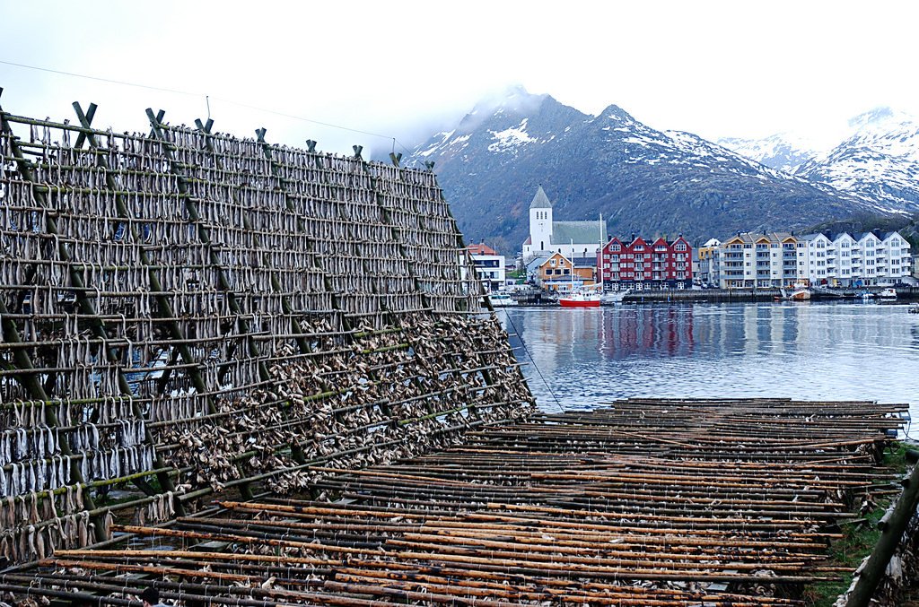 Svolvær fishing by MikyAgo