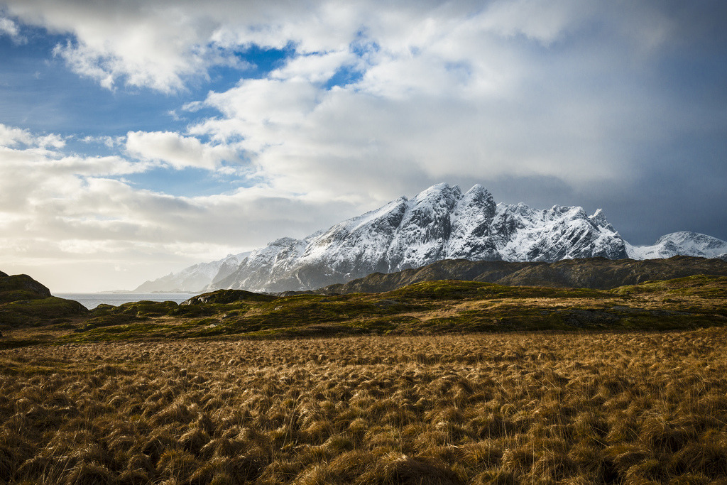 /ˈdēˌto͝or/ – lofoten,