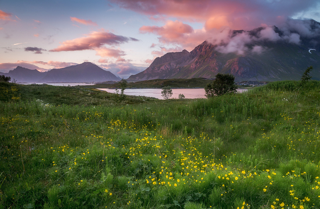 Lofoten by andreassofus  <a