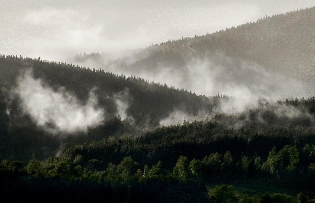 After Rainfall by bjorbrei