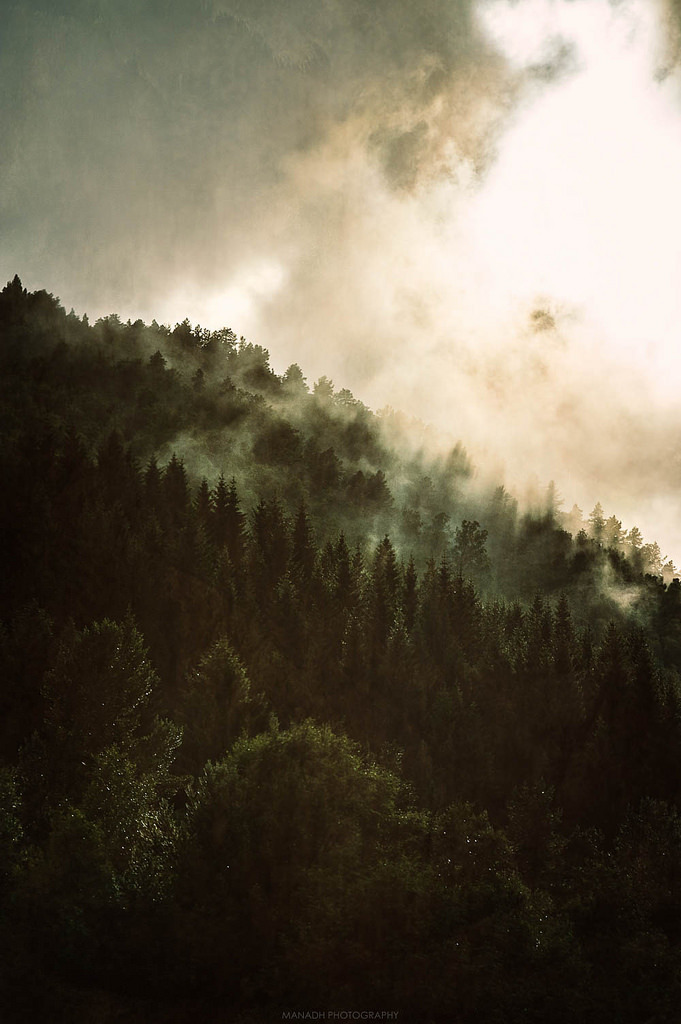 Rising mist by Manadh <a hr