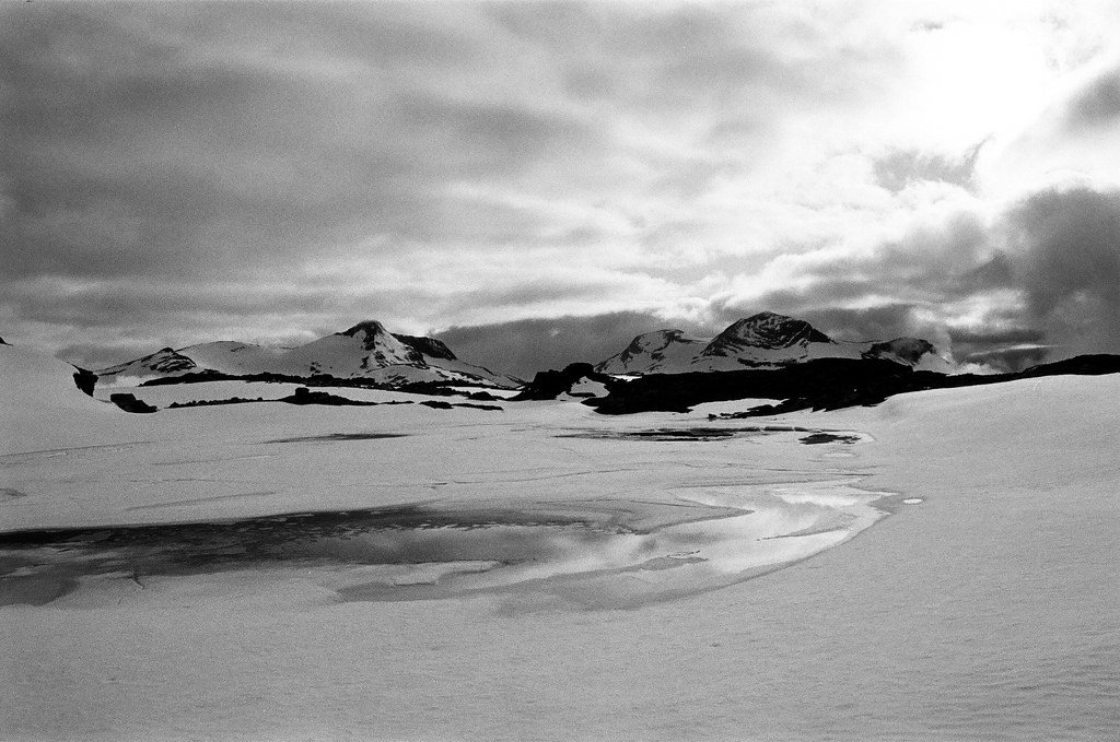 Naushornet and Tordsnose by