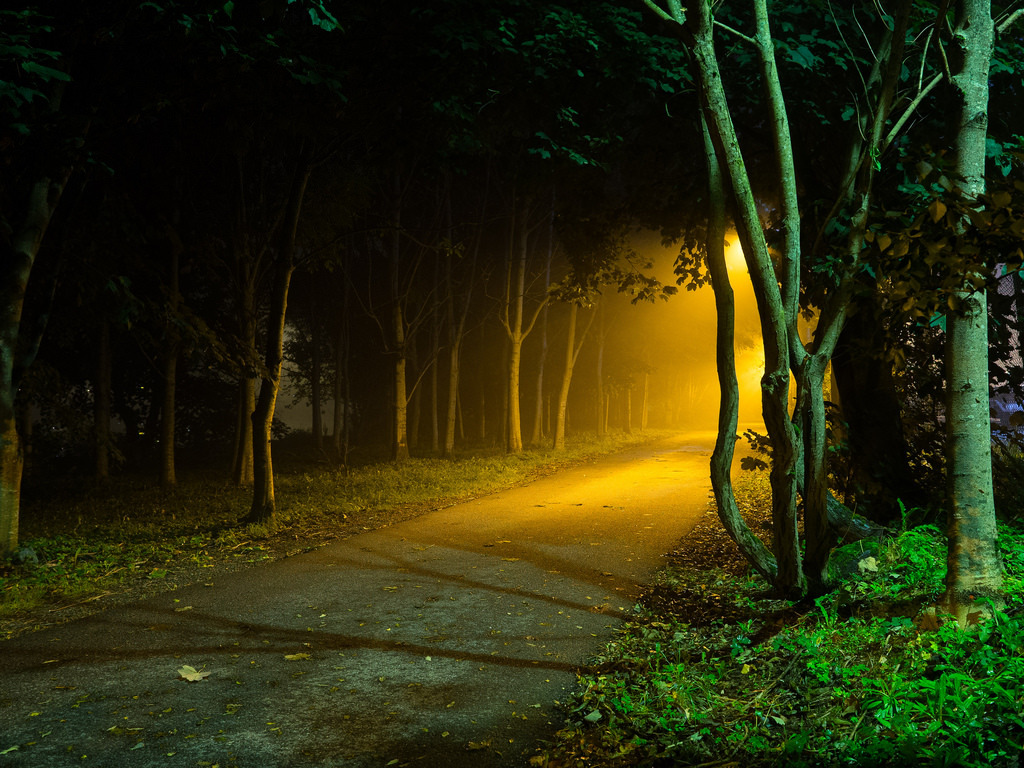Taken on the path going aro