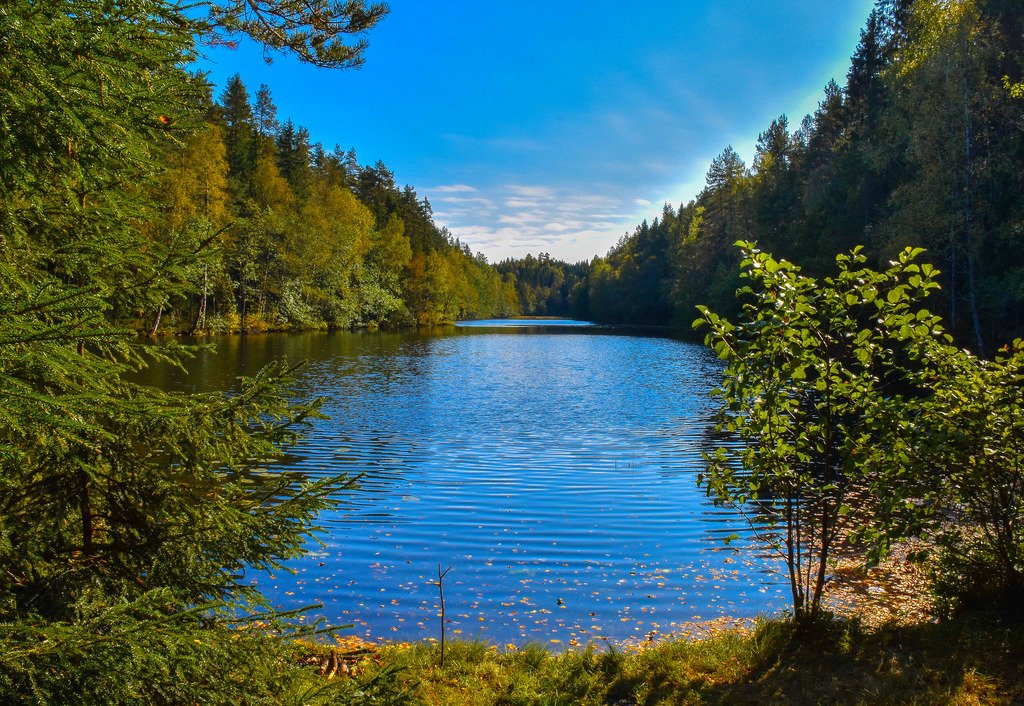 Forest Pond by bjorbrei Lan