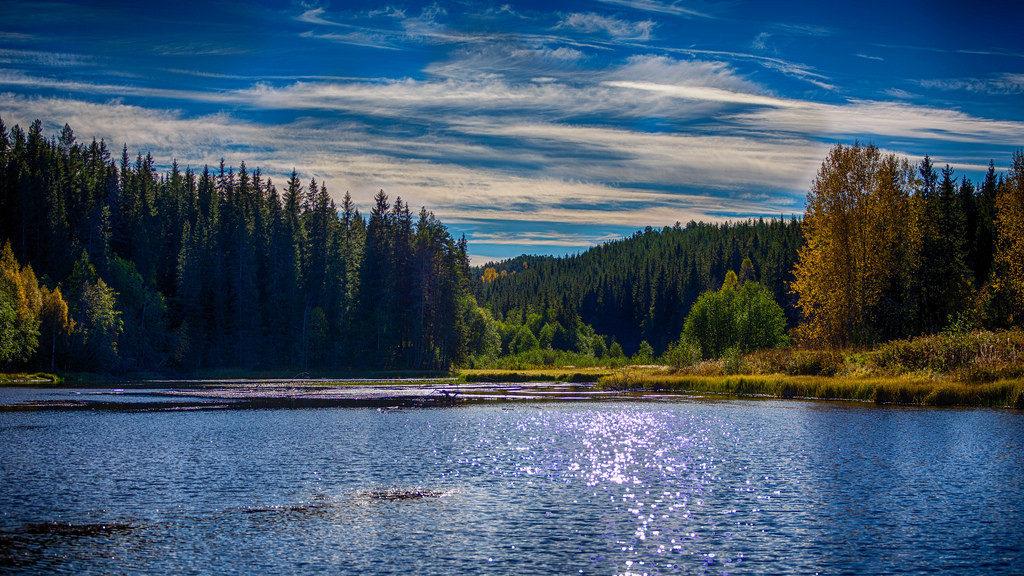 Autumn contrasts (HDR) by s