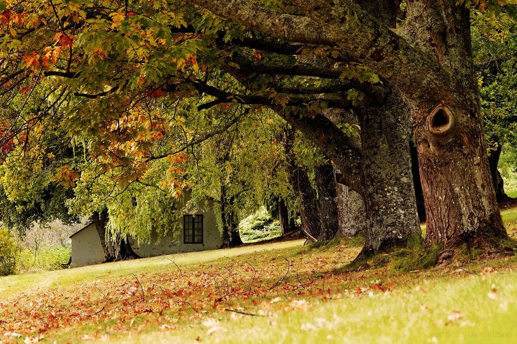 White House in the park by