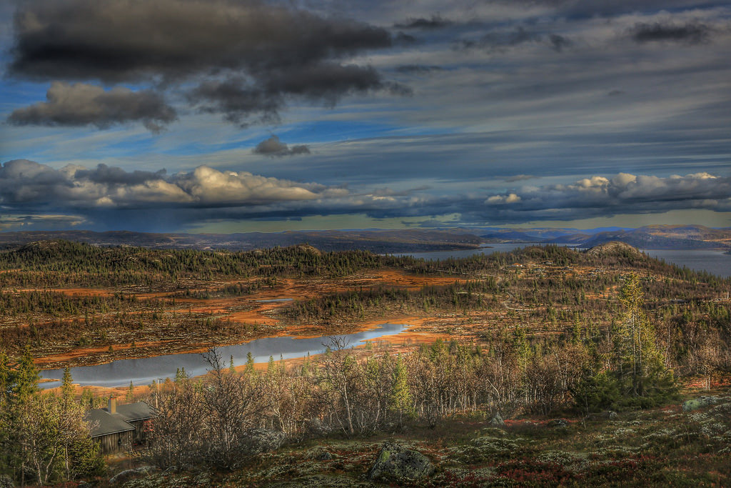 Landscape by Roman_P2013 Al