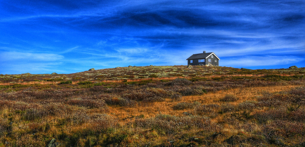 On the hill by Roman_P2013