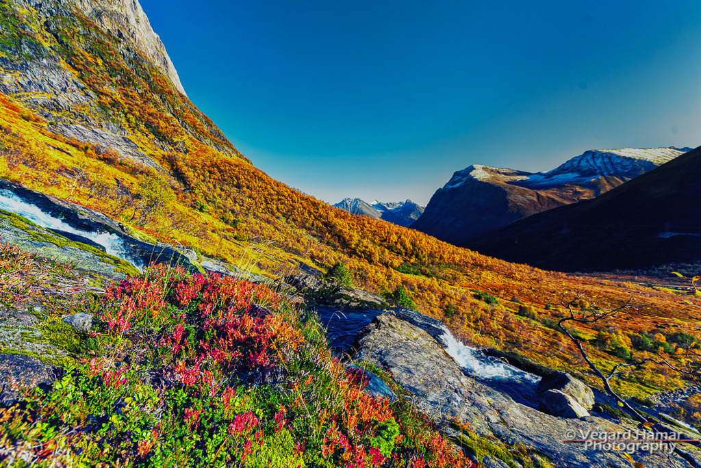 Autumn in the Alps of Sunnm