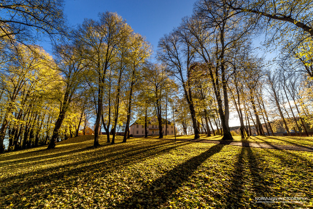 The Yellow Season by Norman