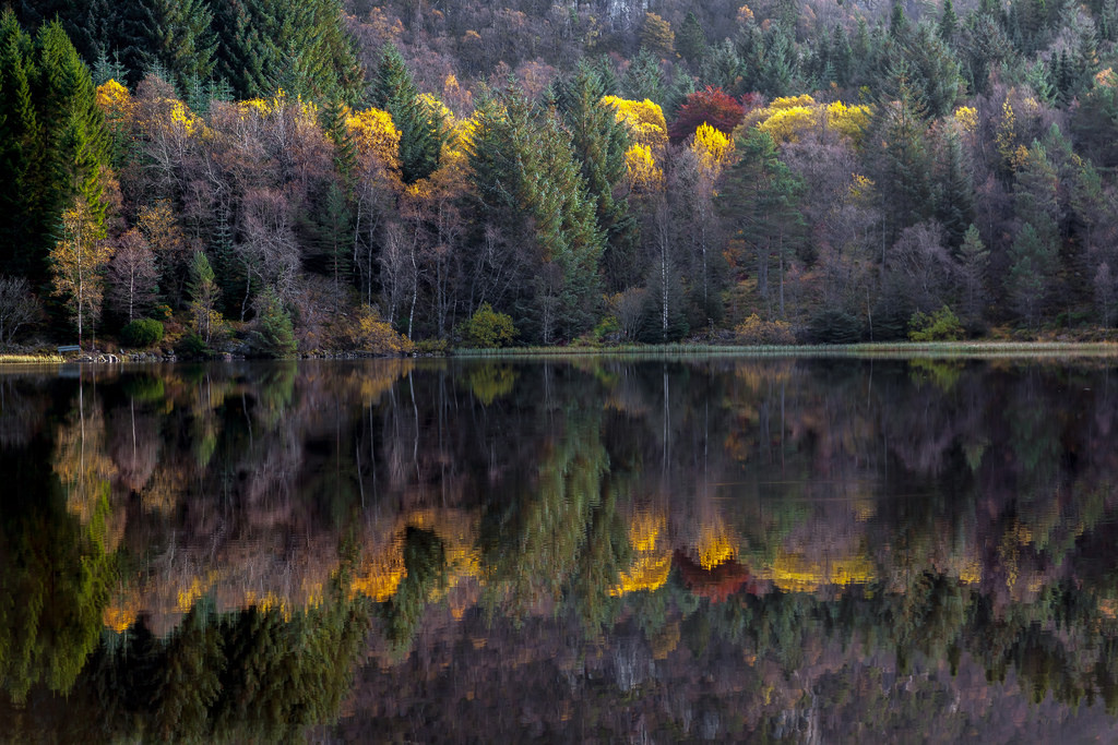 Autumn by Terje T  <a h<a href=