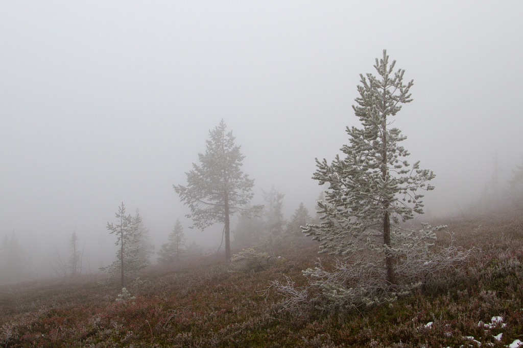 Blefjell by PeterSjoquist T