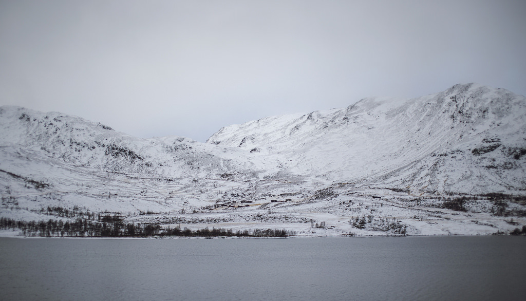Winter is approaching by Ma