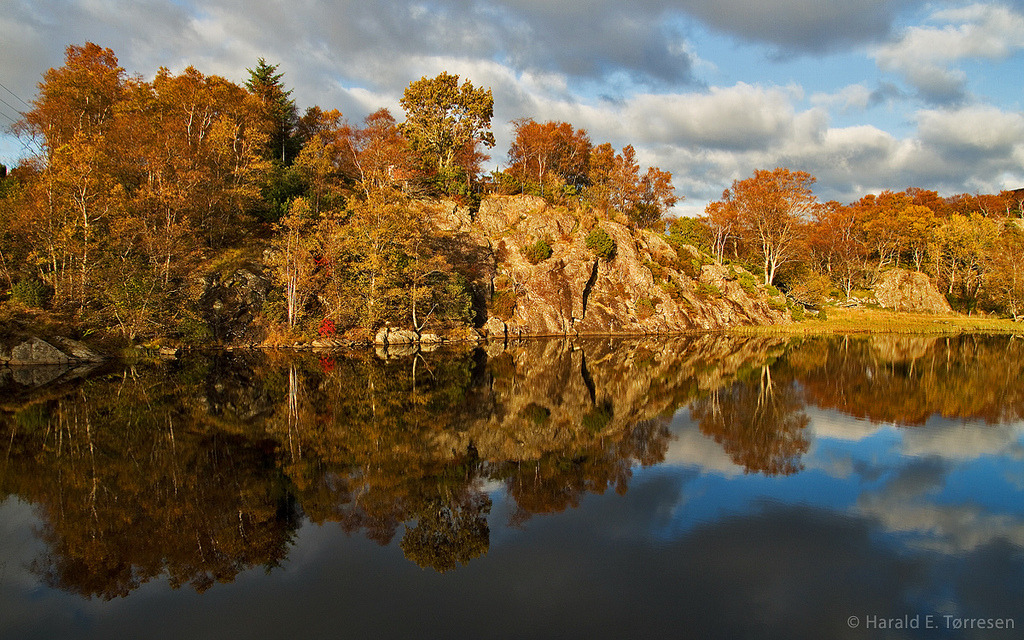 Autumn colours by Harald E.