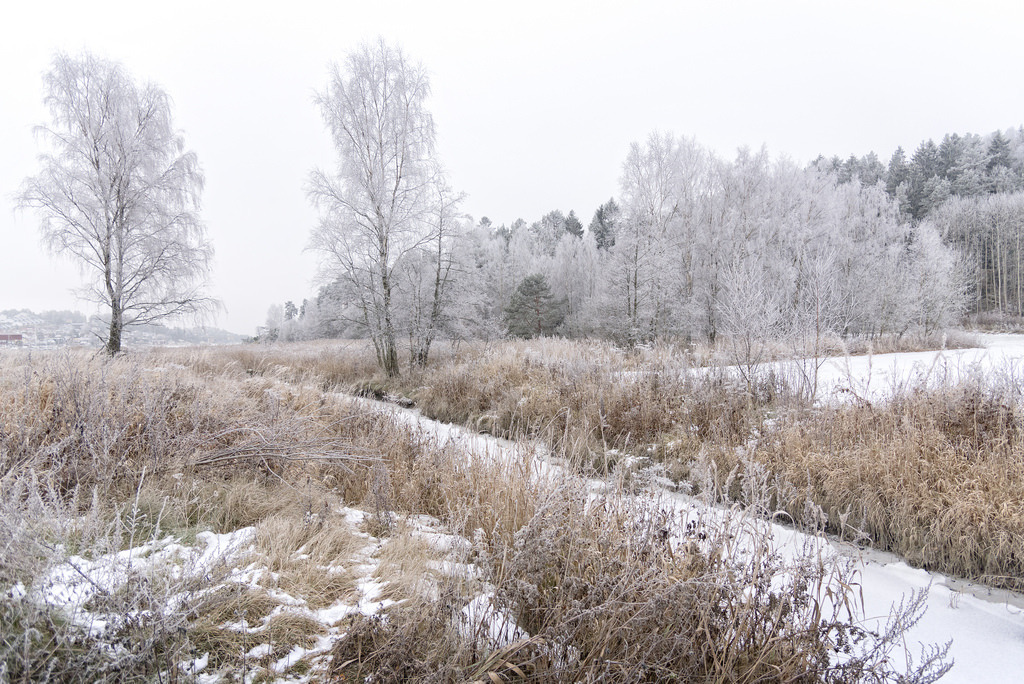 Frost and fog, Son, Norway