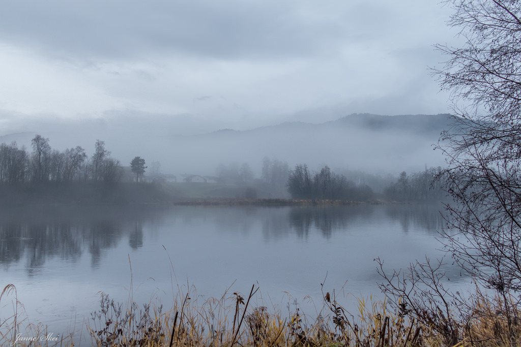 A rainy day by janne.skei A