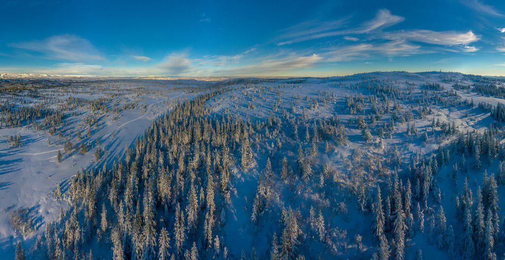 Stigningen ved Sportskapell