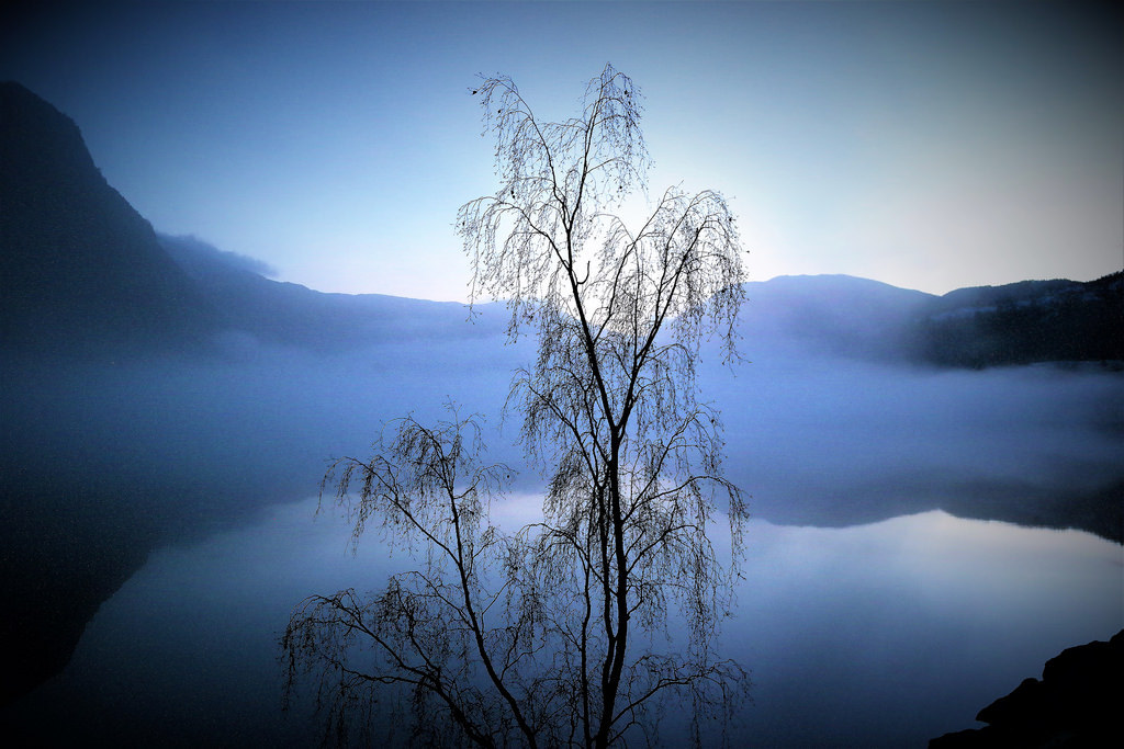 Sogn, Norway by 13HICKMAN77