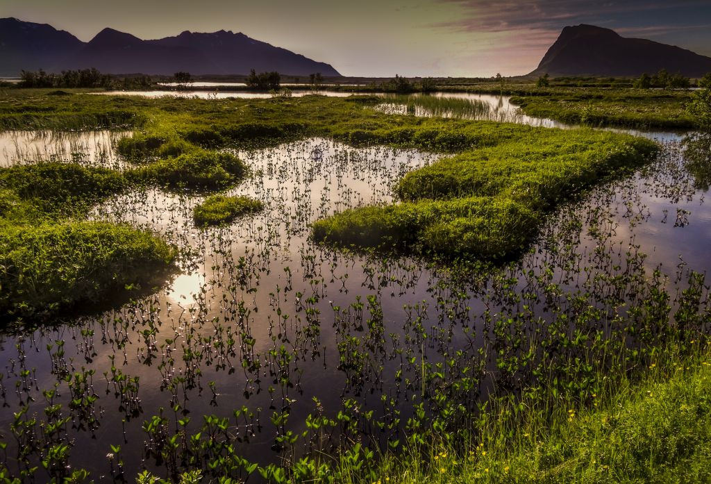 NORWAY LANDSCAPE WATER by E