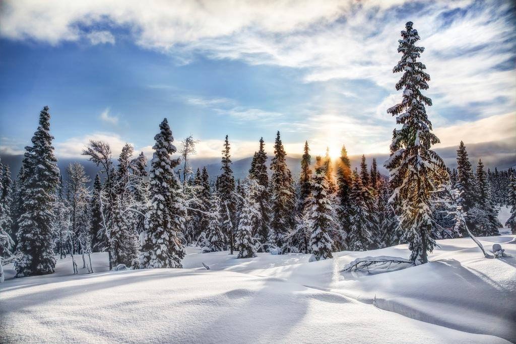 Snowy sunrise in Norway | P