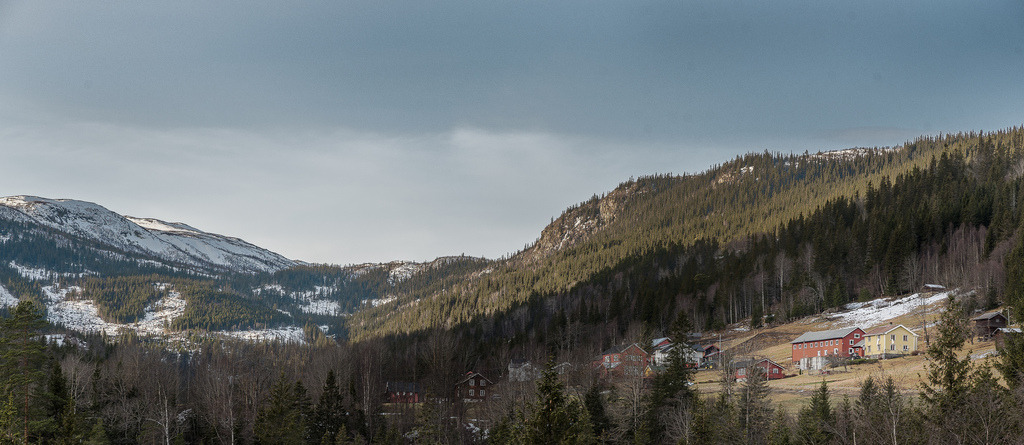 Norway by Tõnno Paju Count