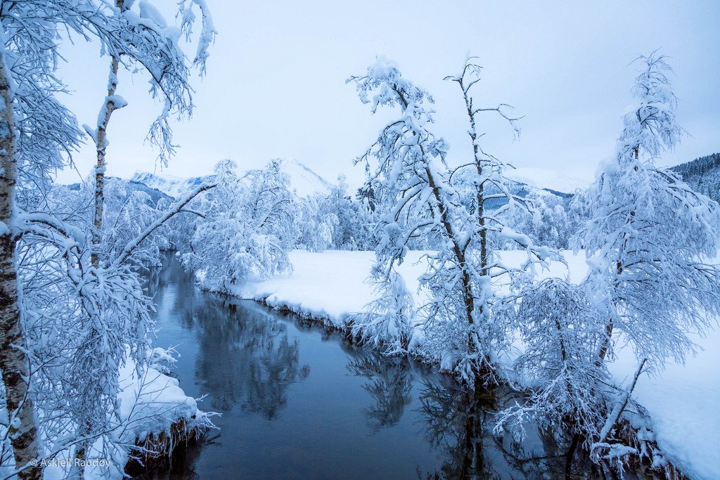 Along the river by Back to