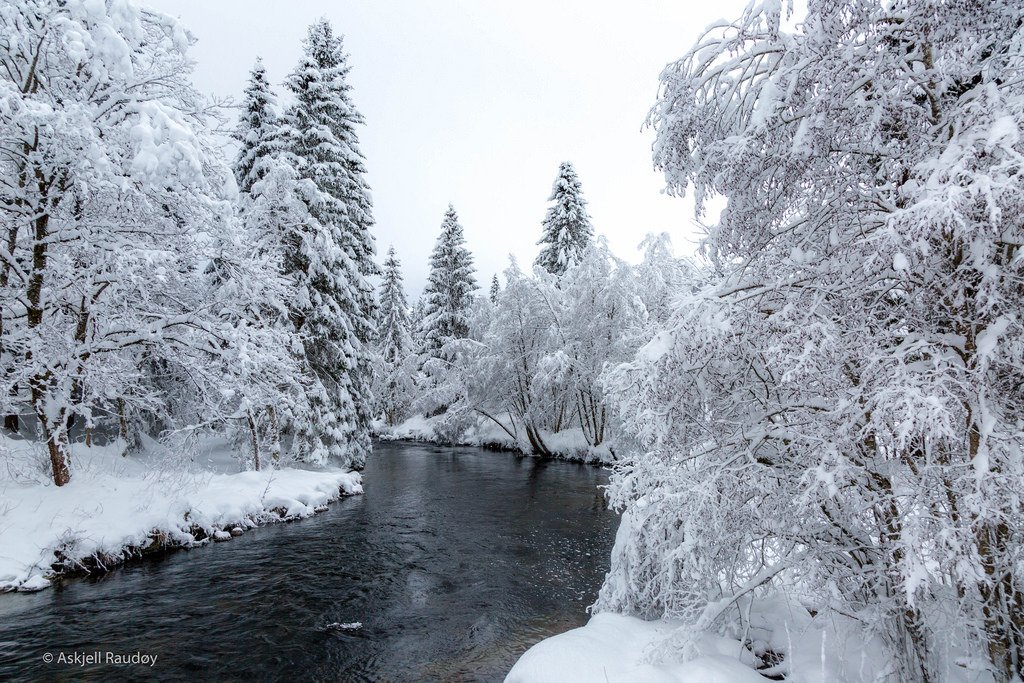 Along the river by Back to