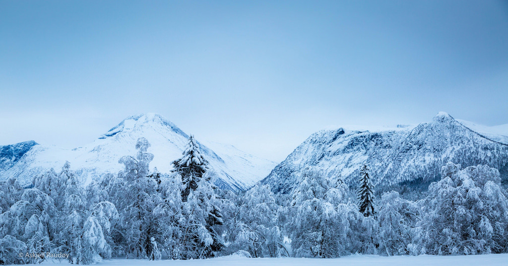 Winter by Back to work – in
