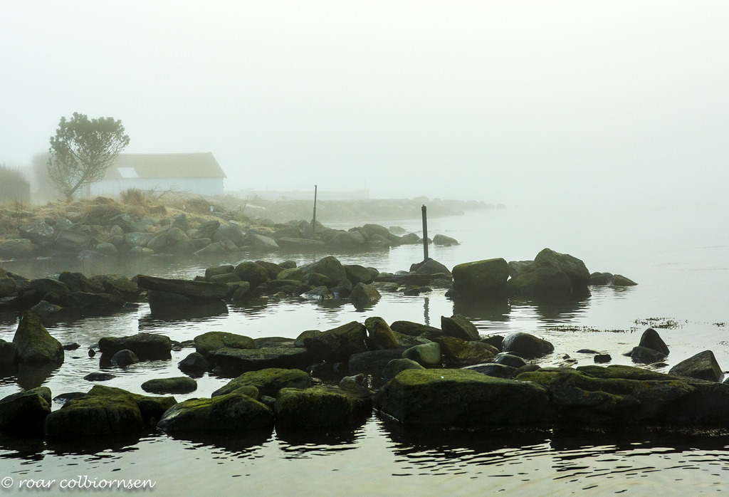 Misty morning by FotoRoar20