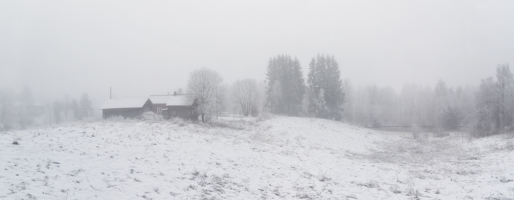 Winter landscape in mist –