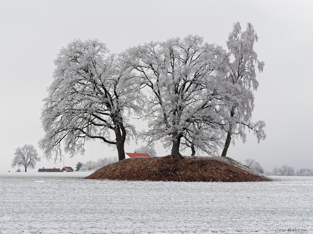 The old viking grave by Gei