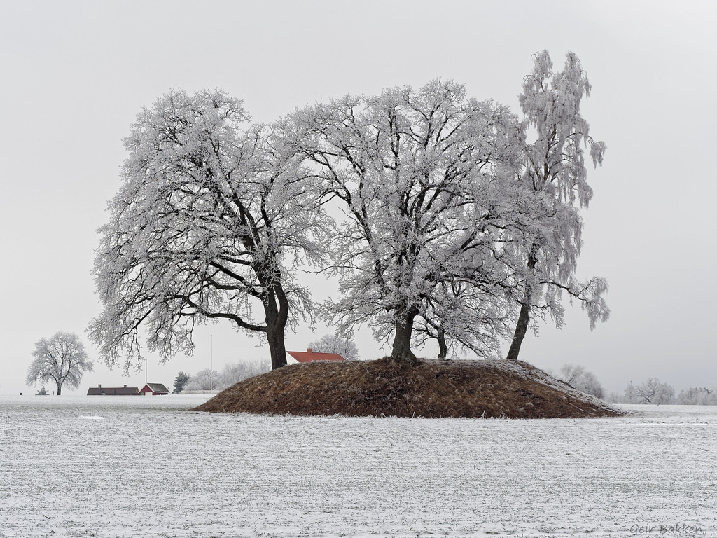 The old viking grave by Gei