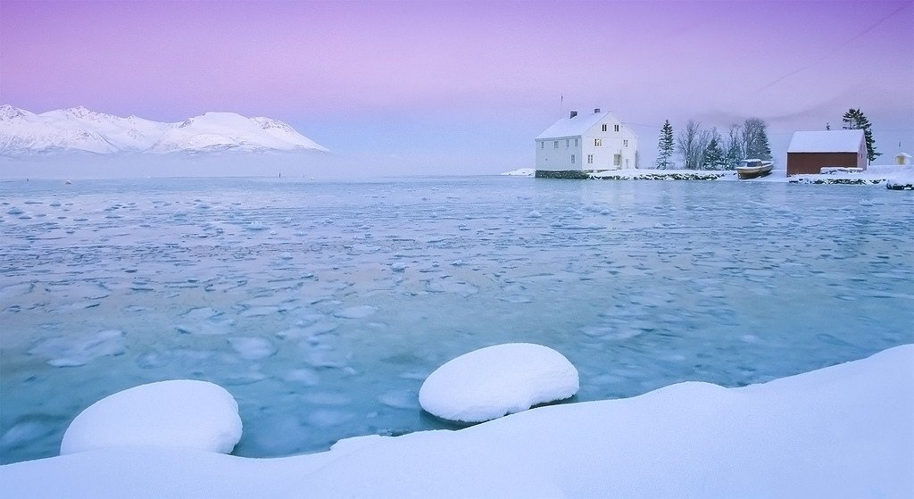 Frozen shoreline by Frank S