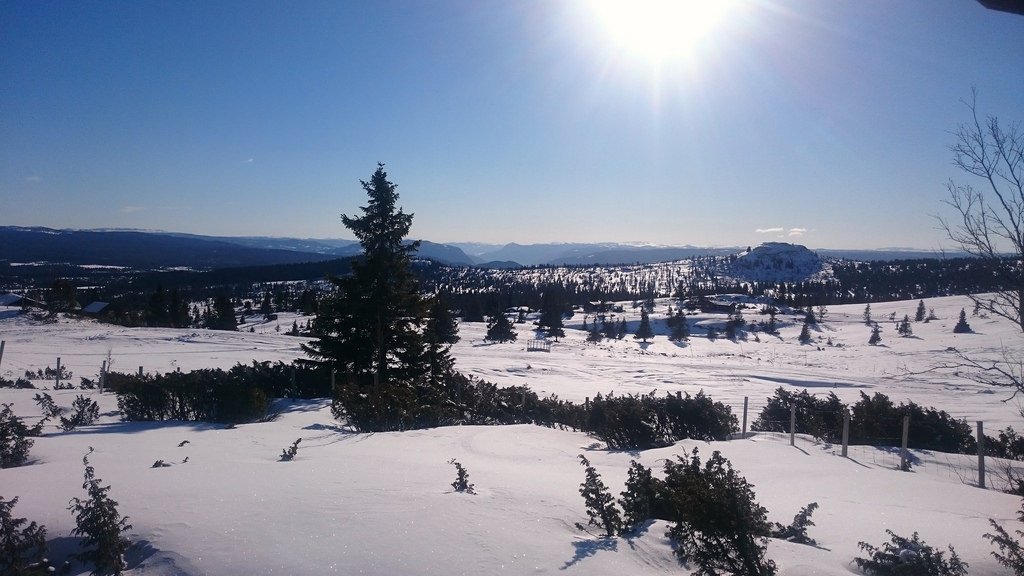 Hallingdal, Norway by krist