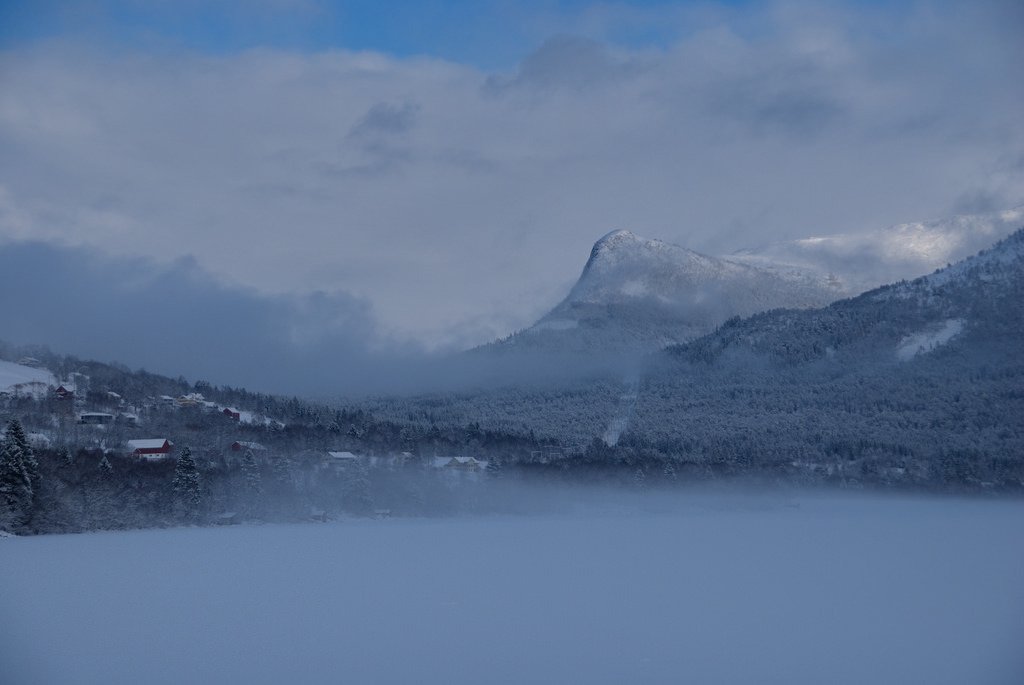 Hesthornet med snø -|- Sno