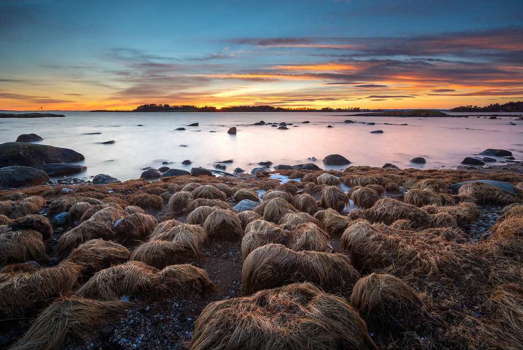 Field of Trumps :) by Bent