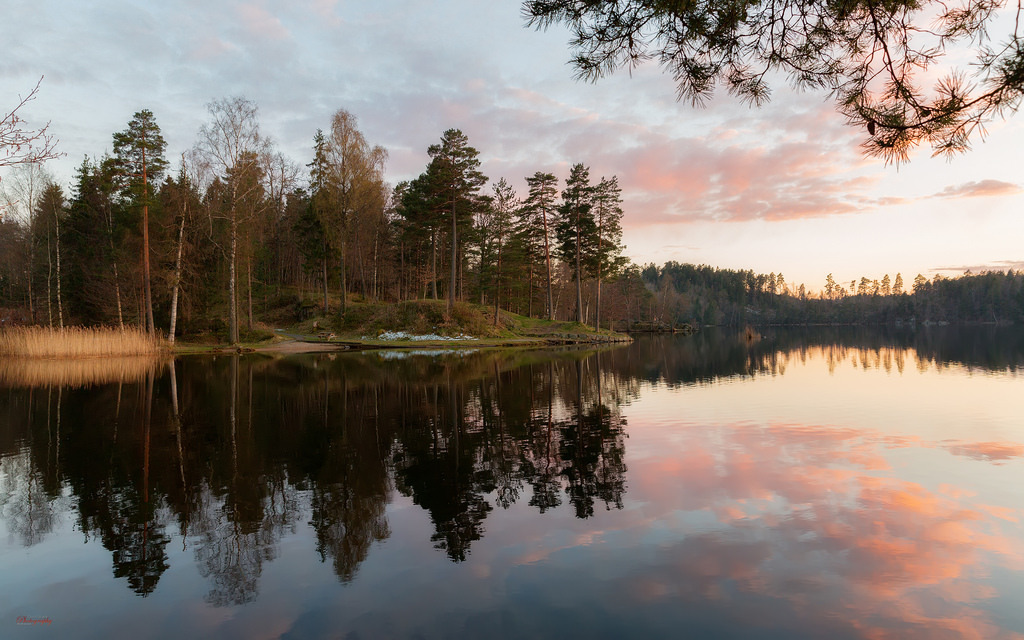 by Øyvind Bjerkholt (Thank